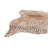 Square Isidore Brown Rug