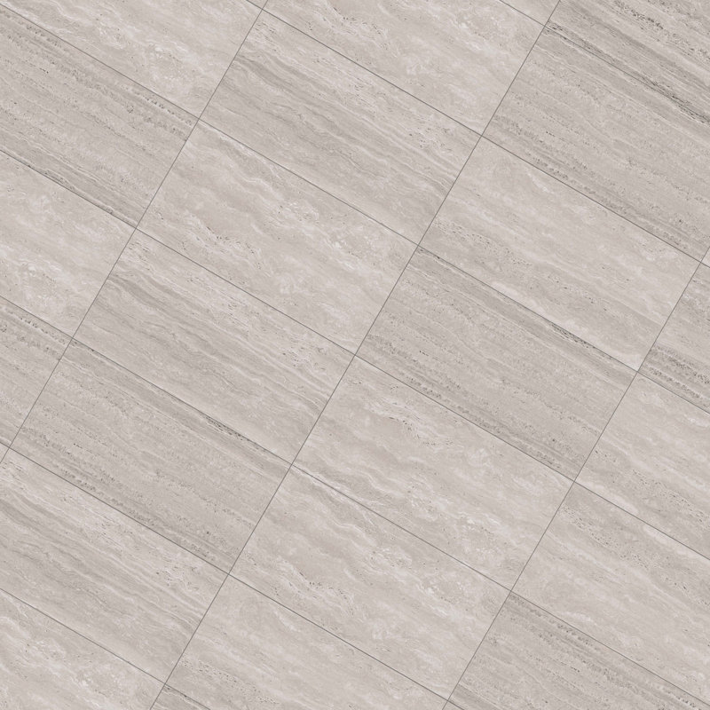 Colosseum Matte 24x48 (15.5 Sq. Ft./Case), Gray