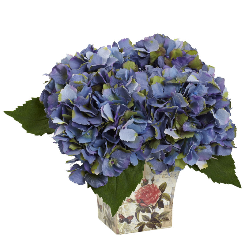 Arrangement floral d'hortensias en pot, Bleu