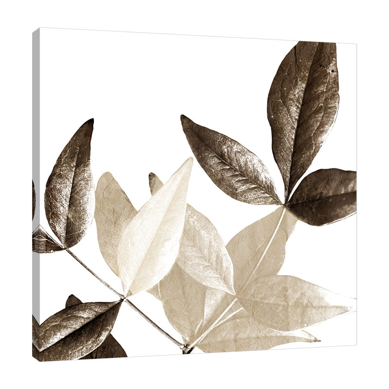 «Chocolate Leaves 2», toile tendue par Kimberly Allen 15901, H 12 po x l 12 po x P 1,5 po