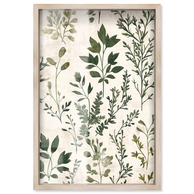 Décoration murale florale Olive Sprigs I Shadowbox par Art Remedy, cadre blond, 37 x 55