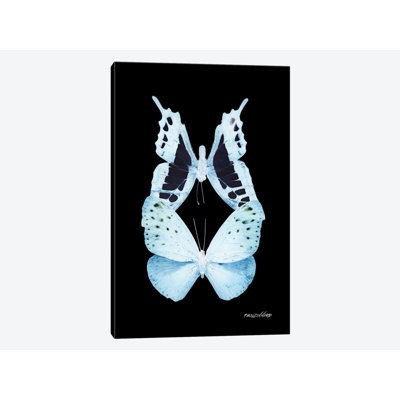 « miss papillon x-ray viii », impression sur toile