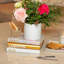 Decorative Books for Home - Shelf Decor Accents - Set of 3