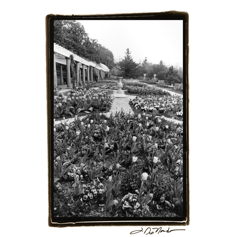 Garden Elegance VIII by Laura DeNardo - Wrapped Canvas Print, 46cm H x 30cm W
