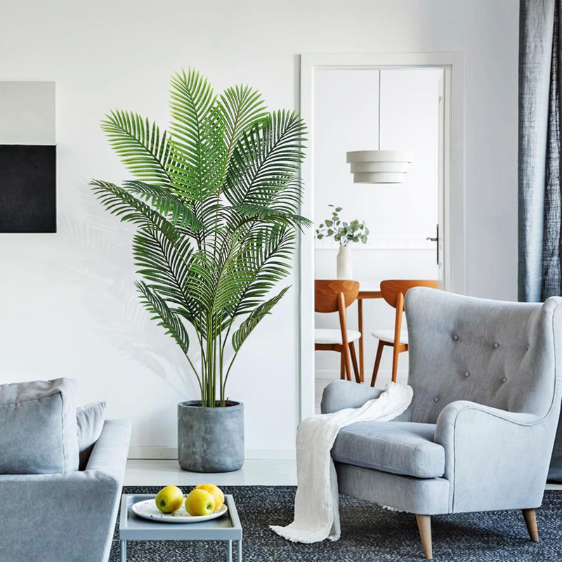 178cm Plant
