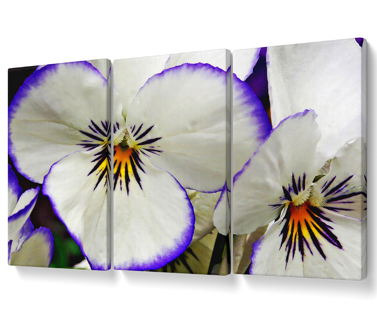 Ebern Designs White Purple Petals - 3 Piece Wrapped Canvas Graphic Art ...