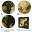 Peinture Renaissance d'un fruit de citron - art mural fruits-2025419203