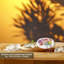 Plaque de charge WBM Selenite