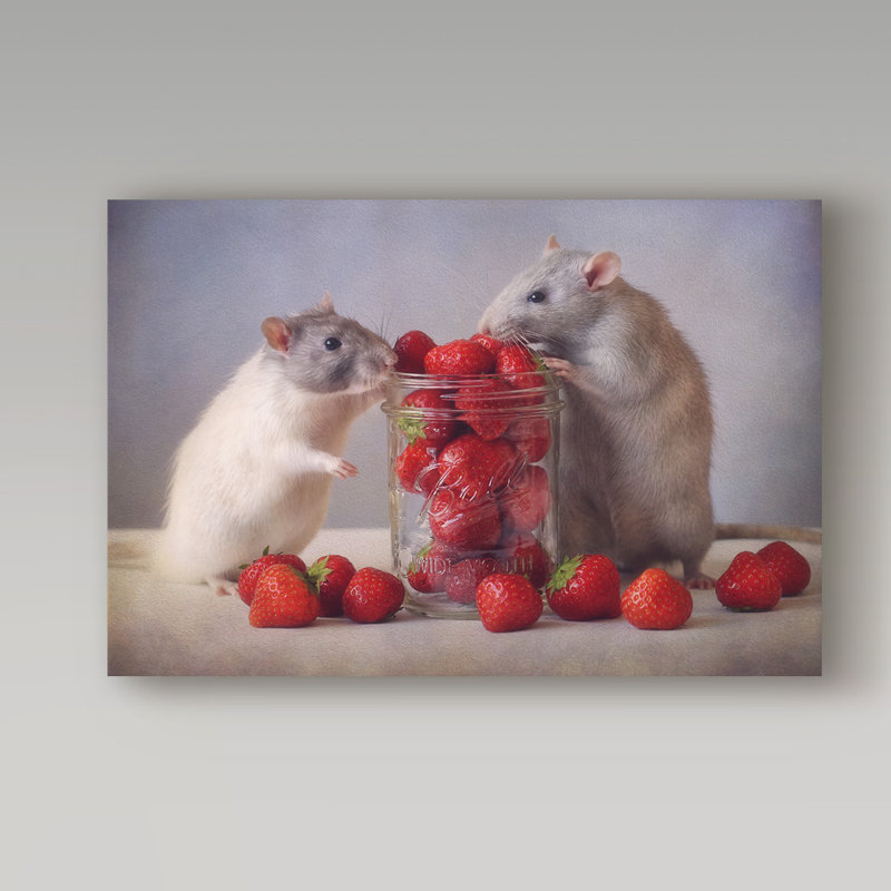 «Rats Strawberries» de Hasegawa, reproduction de photo sur toile tendue, H 22 po x l 32 po x P 2 po
