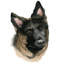 «Human's Best Friend III», impression sur toile-29282508-74737554-74737559