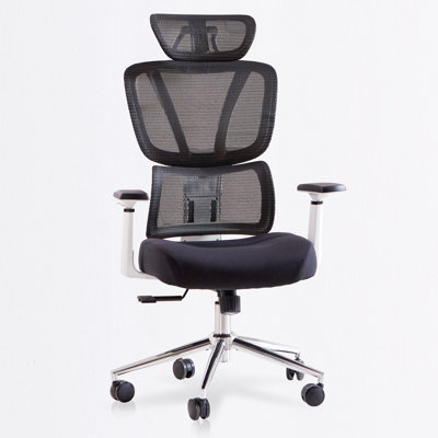 Office Chair With Adjustable Lumbar Support, Tilt Lock, 3D Armrests by Brayden Studio