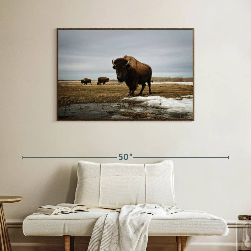 Bison Cloud Day, Cadre flottant en noyer, 40 po x 27 po