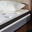 Matelas et sommier en mousse à mémoire de forme moyenne et double 10 po Alwyn Home Bihari