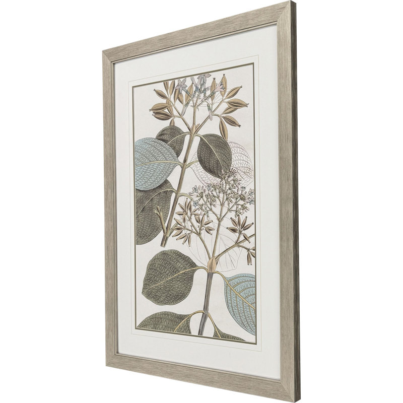Floraison botanique I