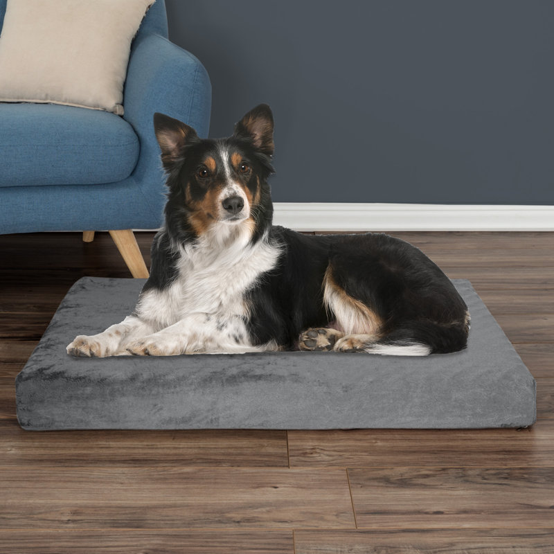 Lit pour chien orthopédique à 2 couches PETMAker, Moyen (l 24 po x P 37 po x H 4 po), Gris