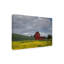 "Palouse Barn and Flowers I" sur un cadre-98248620