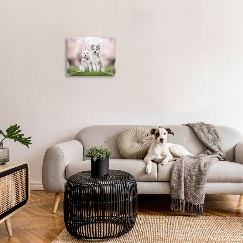 «Husky Puppies In Meadow» par Natalie Grosse sur, H 16 po x l 20 po