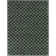 Wingate Green/Grey Checkered Shag Area Rug