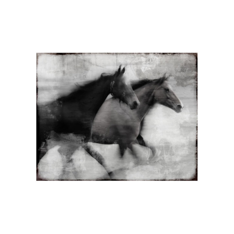 Freedom Print by Sofia Fox, 16" H x 20" W x 1.5" D, Outdoor