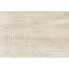 Area Rug in Beige