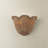Ardonia Wall Sconce