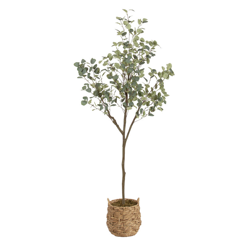 Faux eucalyptus Argueta avec panier tissé Livia, H 70,87 po x l 23,62 po x P 27,56 po