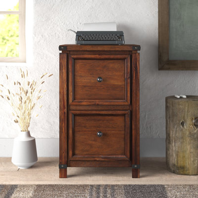 18.5'' Wide 2 -Drawer File Cabinet