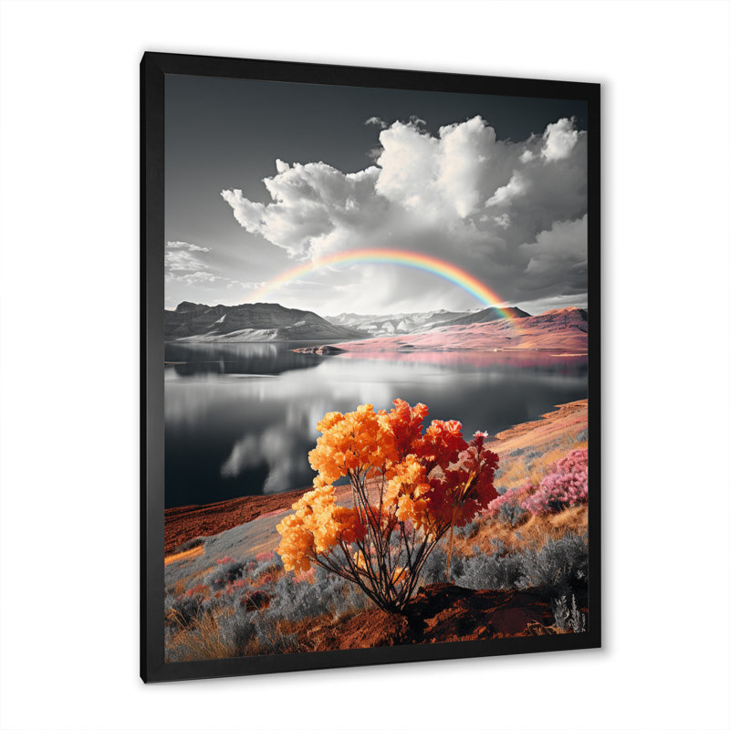 " Rainbow Chromatic Contrast Landscape ", Black Picture Framed, 20" H x 12" W x 1" D