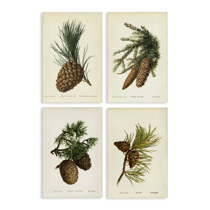  Ensemble de 4 toiles d'art Pinecone, H 30 po x l 20 po