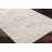 Rectangle Southwestern Machine Woven Polypropylene Area Rug in Medium Gray-1900533781