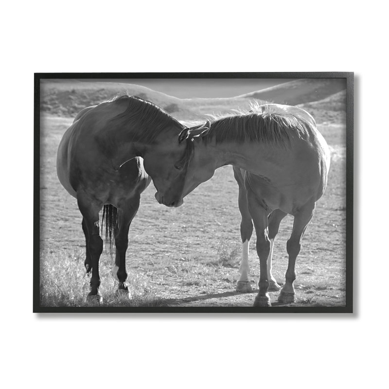 Chevaux étreignant la photographie par Steve Toole, H 16 po x l 20 po x P 1,5 po, Giclée encadrée noir minuit