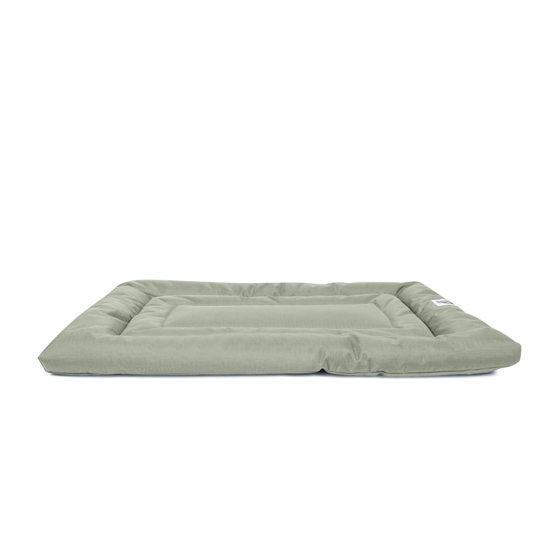 Coussin confortable Brutus Tough Resistant, Moyen (l 36 po x P 23 po x H 2 po), Vert