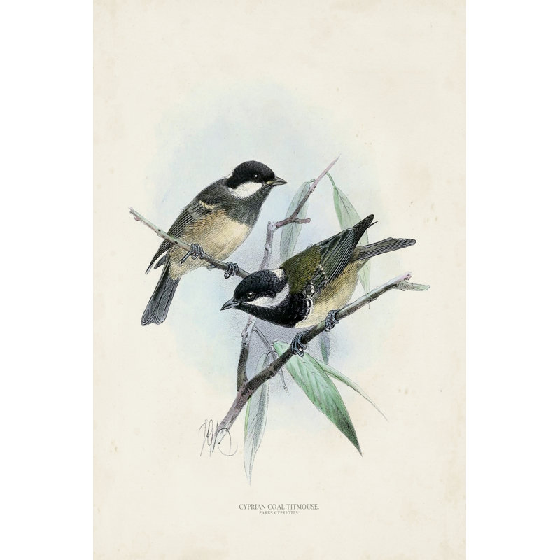 " Antique Birds VII ", 36" H x 24" W x 1.25" D