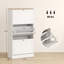 Petite armoire de rangement, armoire de rangement pour chaussures, armoire de rangement dissimulée pour chaussures