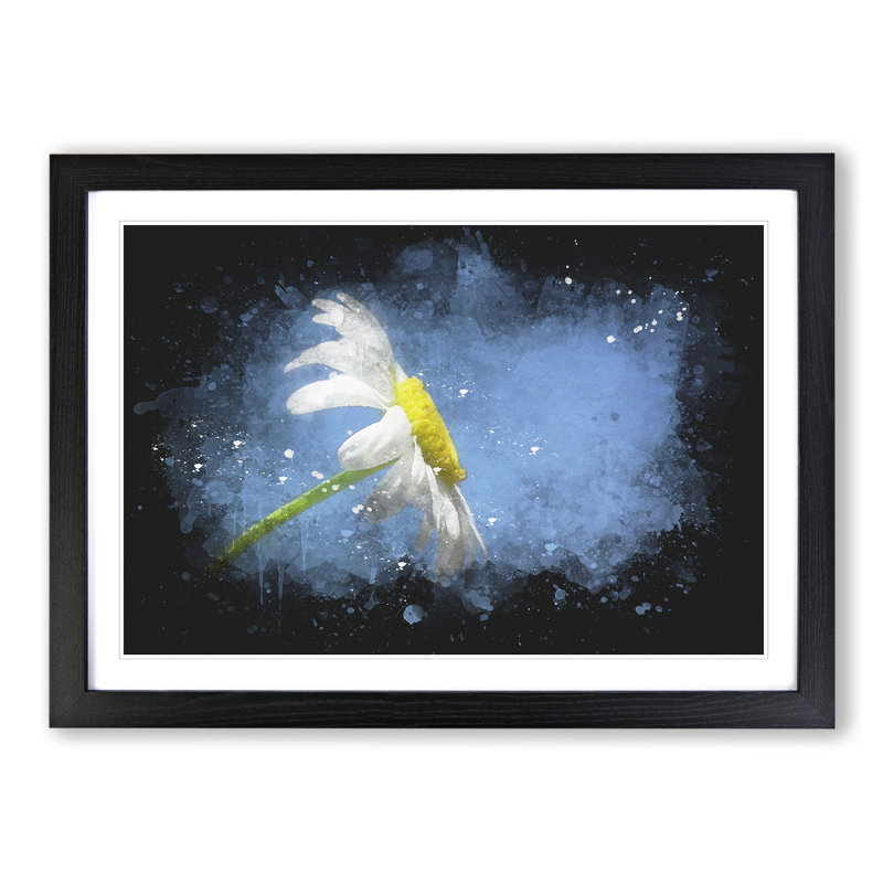 White Daisy Flower - Picture Frame Graphic Art, Black Framed, 48cm H x 65cm W x 2cm D