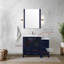 Single Bathroom Vanity with Top