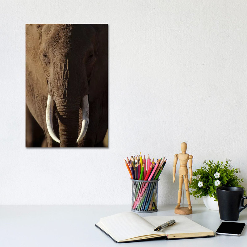 African Elephant Male Portrait with Long Tusks, Kenya 1 Piece Wrapped Canvas Wall Art, 20.32 cm H x 30.48 cm W