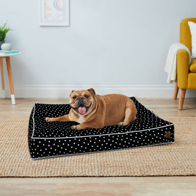 Denaisha Polyurethane Pet Bed