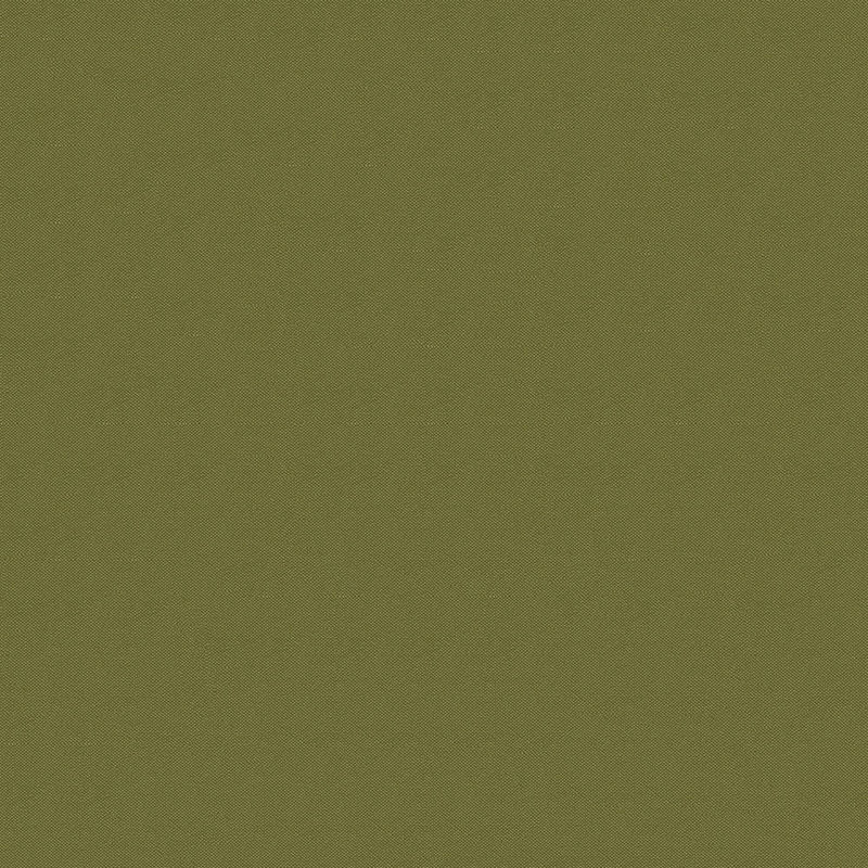 Tissu SILVERTEX, Basilic