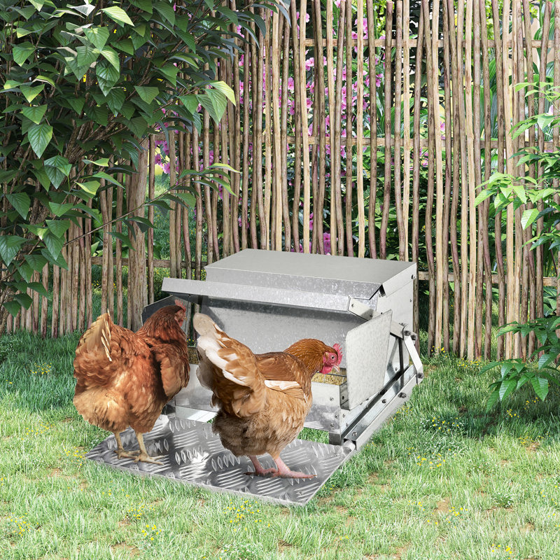 Mangeoire à poulets automatique en acier galvanisé et en aluminium - 25 lb, pour une alimentation sécuritaire en aluminium, poulets