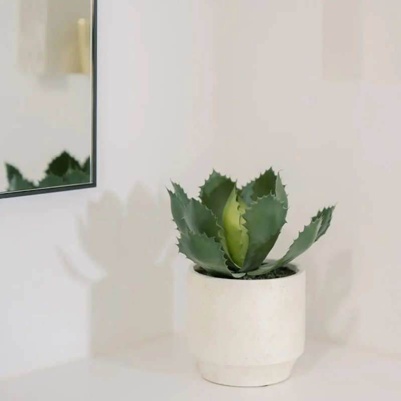 Ensemble de plantes artificielles succulentes dans des pots en pierre, paquet de 2 luxueux