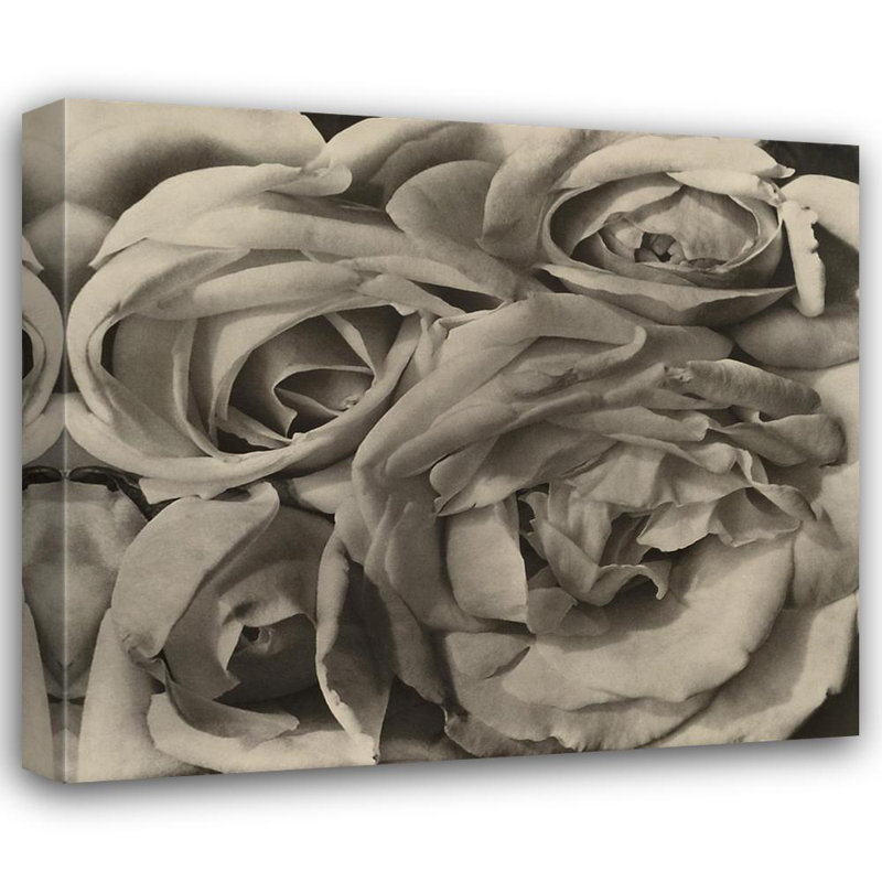 Roses, Mexique MCG-M1552, H 20 po x l 23 po