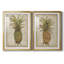 «Pineapple Study I», ensemble de reproductions d'art sur papier encadré-1370695830-1370695829