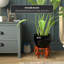 Fishbowl Stand-2098407287