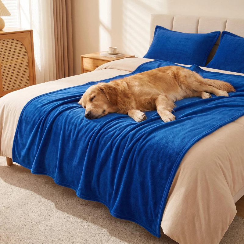 Jeté en velours de cristal microfibre, jeté de grand lit et canapé moelleux 71 po x 87 po, lavable en machine à double face