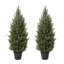 Faux Cypress Topiary Trees in Pot, Set of 2, UV Resistant Pre-Potted Evergreen with Realistic Thick Trunk, Black Cement Pot for Front Door, Porch & Entryway (Cedar-Look)-1998514615