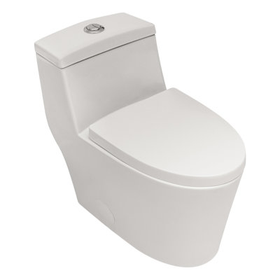 Ceramic Toilet With Fully Glazed Flush And Silent Seat One Water Dual
