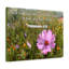 God And Our Father Philippians 4:20 - Wrapped Canvas Print-876729723