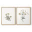 «Vintage Floral XX», impression giclée sur cadre - ensemble de 2-306765229-306765217