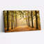 Ensemble de 1 tableau sur toile Forêt d'automne-129071589-129071592